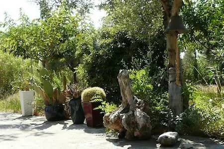 Olive Tree House Kounopetra