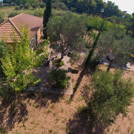 Olive Tree House